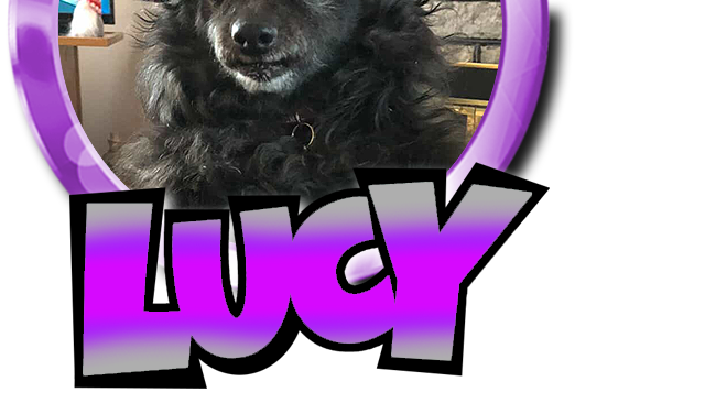 Pibborafi Lucy